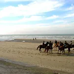 In Near Belgium Pier Daire