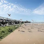 In Near Belgium Pier *