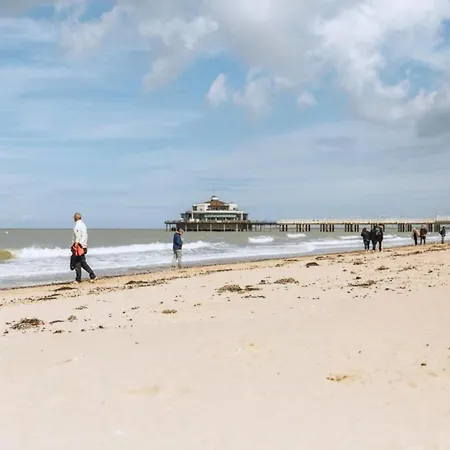 In Near Belgium Pier