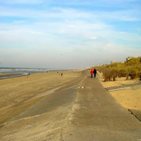 In Near Belgium Pier * ブランケンベルヘ