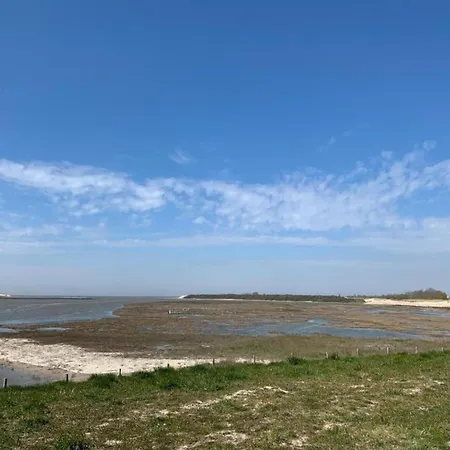 In Near Belgium Pier