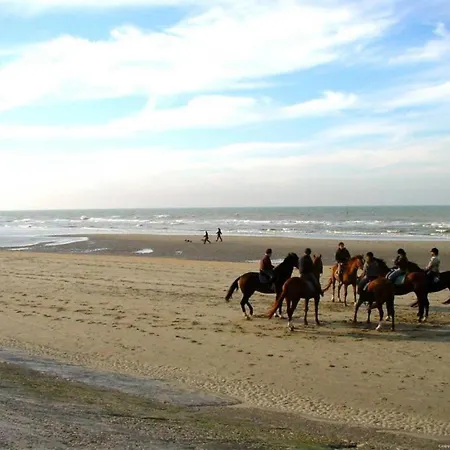 In Near Belgium Pier Apartman