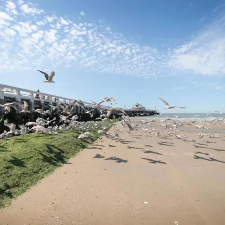 In Near Belgium Pier *