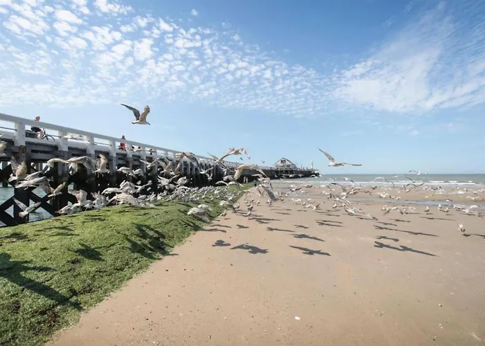 In Near Belgium Pier *